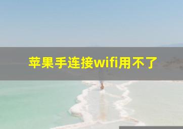 苹果手连接wifi用不了