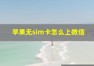 苹果无sim卡怎么上微信