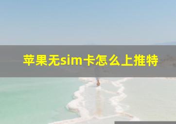 苹果无sim卡怎么上推特