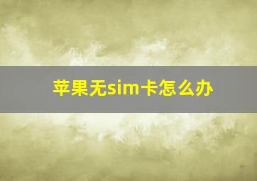 苹果无sim卡怎么办