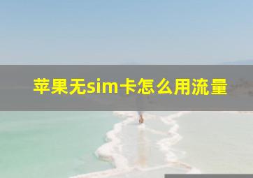 苹果无sim卡怎么用流量