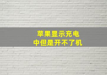 苹果显示充电中但是开不了机