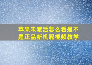 苹果未激活怎么看是不是正品新机呢视频教学