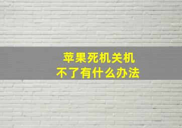 苹果死机关机不了有什么办法