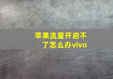 苹果流量开启不了怎么办vivo