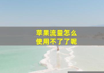 苹果流量怎么使用不了了呢