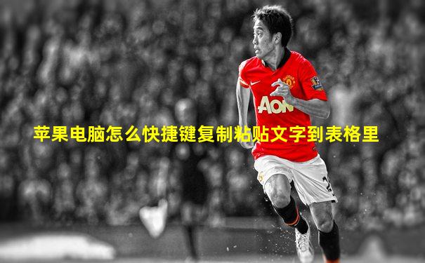 苹果电脑怎么快捷键复制粘贴文字到表格里