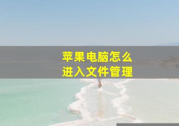 苹果电脑怎么进入文件管理