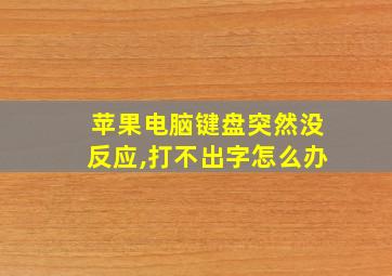 苹果电脑键盘突然没反应,打不出字怎么办