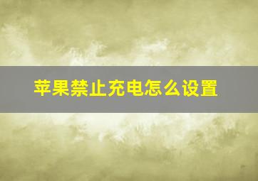 苹果禁止充电怎么设置