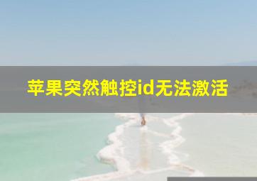 苹果突然触控id无法激活