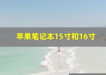 苹果笔记本15寸和16寸