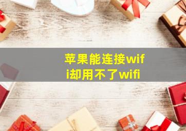 苹果能连接wifi却用不了wifi