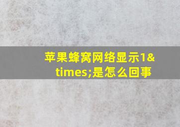 苹果蜂窝网络显示1×是怎么回事