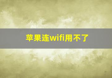 苹果连wifi用不了