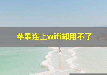 苹果连上wifi却用不了