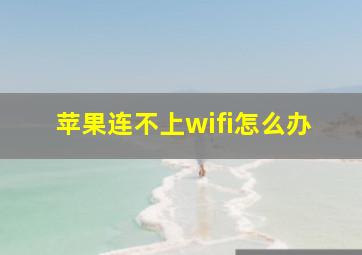 苹果连不上wifi怎么办