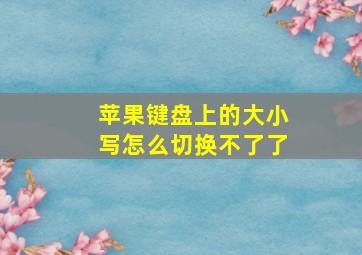 苹果键盘上的大小写怎么切换不了了