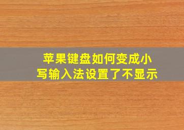 苹果键盘如何变成小写输入法设置了不显示