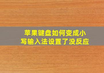 苹果键盘如何变成小写输入法设置了没反应