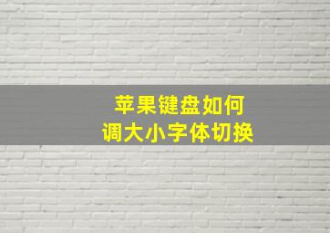 苹果键盘如何调大小字体切换