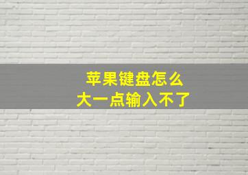 苹果键盘怎么大一点输入不了