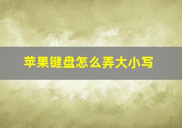 苹果键盘怎么弄大小写