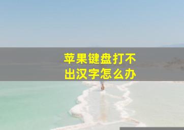 苹果键盘打不出汉字怎么办