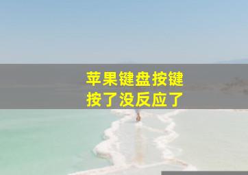 苹果键盘按键按了没反应了