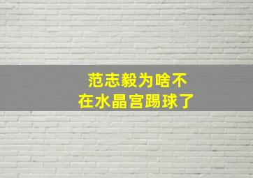 范志毅为啥不在水晶宫踢球了