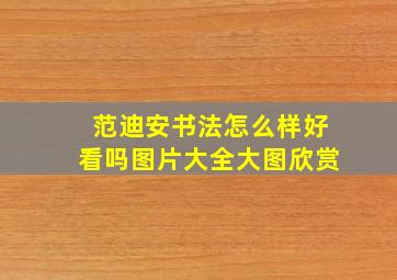 范迪安书法怎么样好看吗图片大全大图欣赏