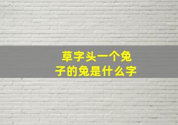 草字头一个兔子的兔是什么字