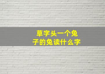 草字头一个兔子的兔读什么字