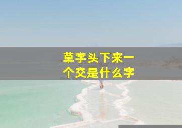 草字头下来一个交是什么字