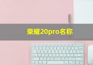 荣耀20pro名称