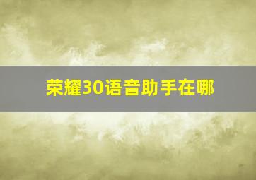 荣耀30语音助手在哪