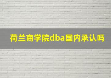 荷兰商学院dba国内承认吗