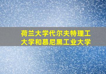 荷兰大学代尔夫特理工大学和慕尼黑工业大学