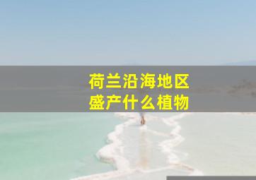 荷兰沿海地区盛产什么植物