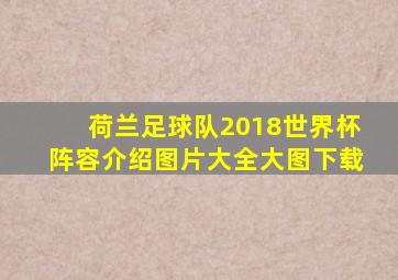 荷兰足球队2018世界杯阵容介绍图片大全大图下载