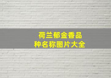 荷兰郁金香品种名称图片大全