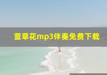 萱草花mp3伴奏免费下载