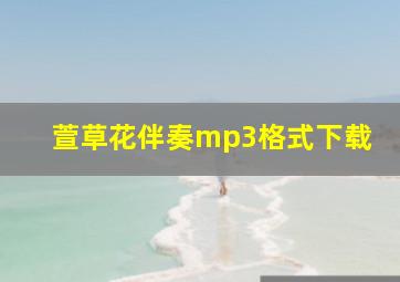 萱草花伴奏mp3格式下载