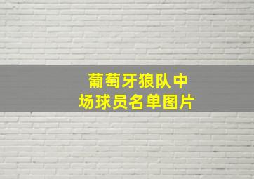 葡萄牙狼队中场球员名单图片