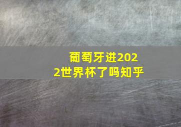 葡萄牙进2022世界杯了吗知乎