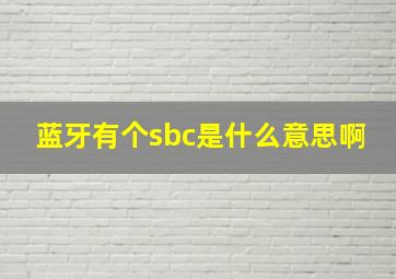 蓝牙有个sbc是什么意思啊