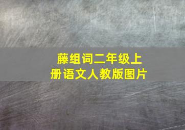 藤组词二年级上册语文人教版图片