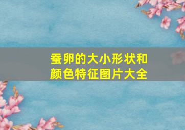 蚕卵的大小形状和颜色特征图片大全