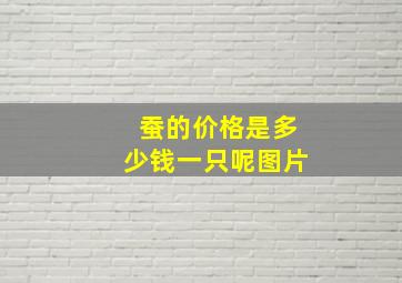 蚕的价格是多少钱一只呢图片