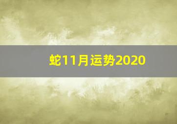 蛇11月运势2020